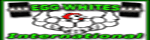 eggwhitesint.com
